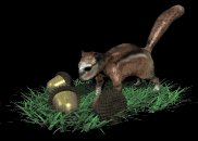 chipmunk_pushing_nuts_lb.gif
