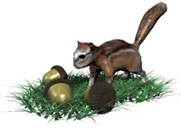 chipmunk_pushing_nuts_hr.jpg
