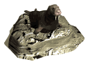 walrus2_lyingaround_mw.gif