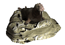 walrus2_lyingaround_mc.gif
