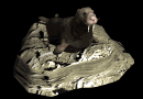walrus2_lyingaround_mb.gif