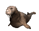 walrus1_locomotion_sc.gif