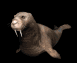 walrus1_locomotion_sb.gif