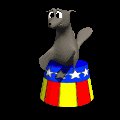 seal_clapping_fins_mc.gif