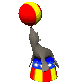 seal_balancing_ball_sc.gif
