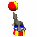 seal_balancing_ball_mw.gif
