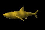 tiger_shark_lc.gif