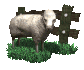 sheep_with_fence_sc.gif