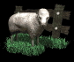 sheep_with_fence_sb.gif