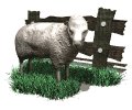 sheep_with_fence_mw.gif
