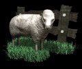 sheep_with_fence_mb.gif