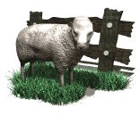sheep_with_fence_lw.gif