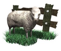 sheep_with_fence_hr.jpg