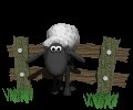 sheep_stuck_on_fence_mc.gif