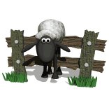sheep_stuck_on_fence_lw.gif