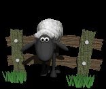 sheep_stuck_on_fence_lc.gif