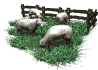 sheep_herd_grazing_sw.gif