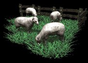 sheep_herd_grazing_lb.gif