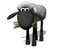 sheep_eating_grass_mw.gif