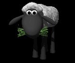 sheep_eating_grass_lc.gif