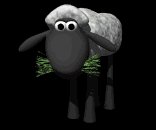 sheep_eating_grass_lb.gif