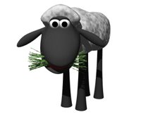 sheep_eating_grass_hr.jpg