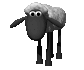 sheep_blinking_sc.gif