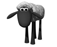 sheep_blinking_hr.jpg