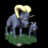 ram_with_baby_lc.gif