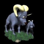 ram_with_baby_lb.gif