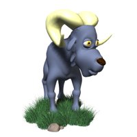 ram_looking_around_hr.jpg