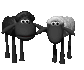 black_sheep_sc.gif