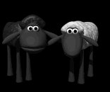 black_sheep_lb.gif