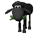 black_sheep_eating_gr_a_sc.gif