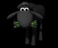 black_sheep_eating_gr_a_mb.gif