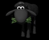 black_sheep_eating_gr_a_lc.gif