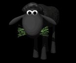 black_sheep_eating_gr_a_lb.gif