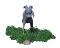 baby_ram_legs_shaking_tw.gif