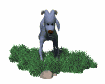 baby_ram_legs_shaking_sw.gif