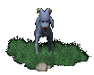 baby_ram_legs_shaking_sc.gif