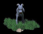 baby_ram_legs_shaking_mb.gif