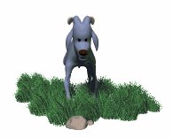 baby_ram_legs_shaking_lw.gif