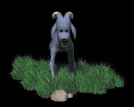 baby_ram_legs_shaking_lb.gif
