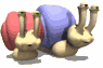 snails_racing_sw.gif