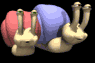 snails_racing_sb.gif