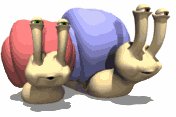 snails_racing_lw.gif