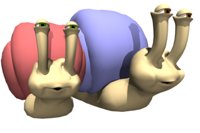 snails_racing_hr.jpg
