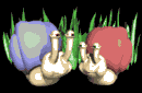 snails_jibber_jabering_lb.gif