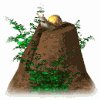 snail_stump_mw.gif