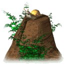 snail_stump_lw.gif